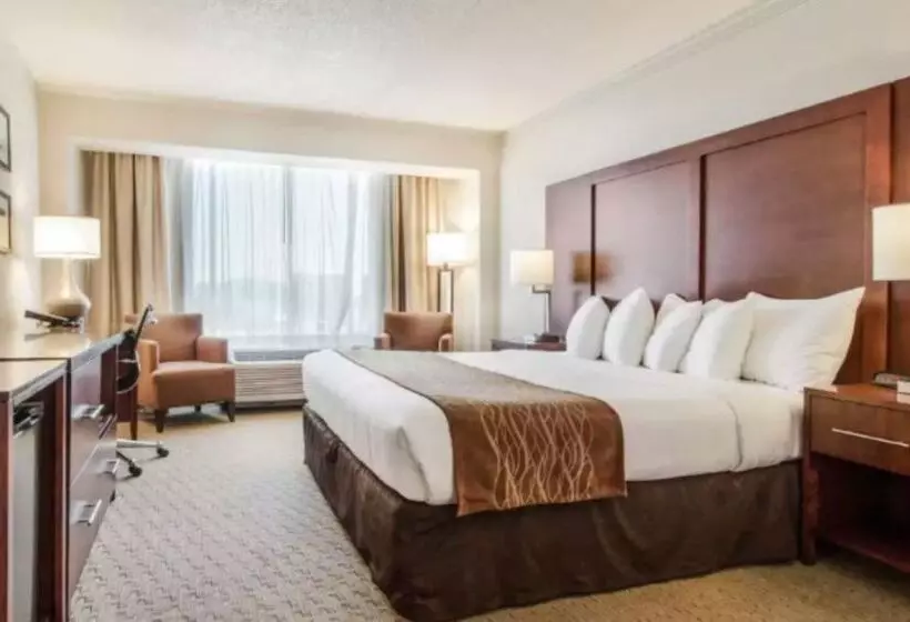 ホテル Comfort Inn By The Bay