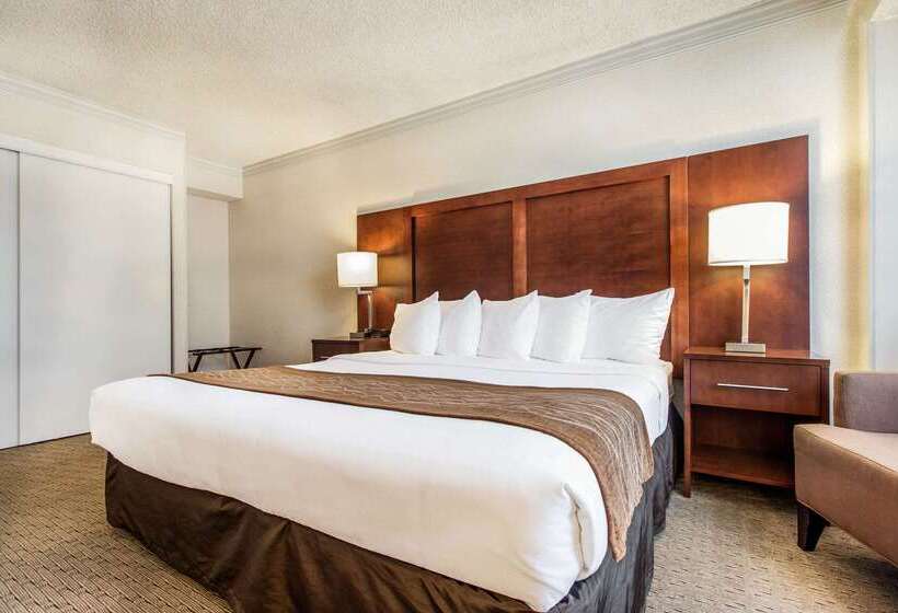 فندق Comfort Inn By The Bay