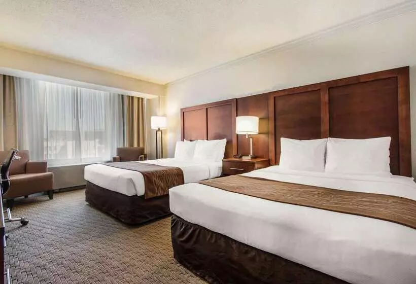 ホテル Comfort Inn By The Bay