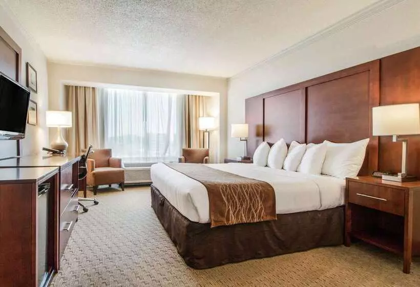 ホテル Comfort Inn By The Bay