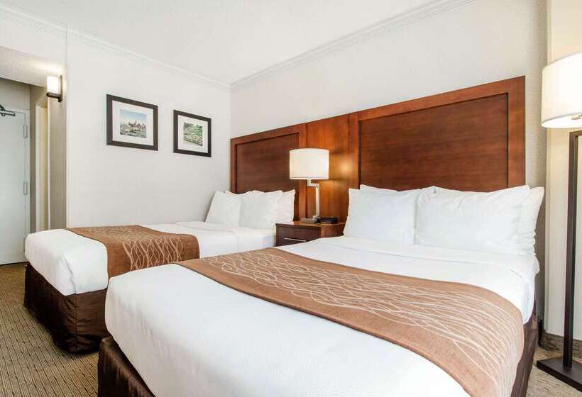 فندق Comfort Inn By The Bay