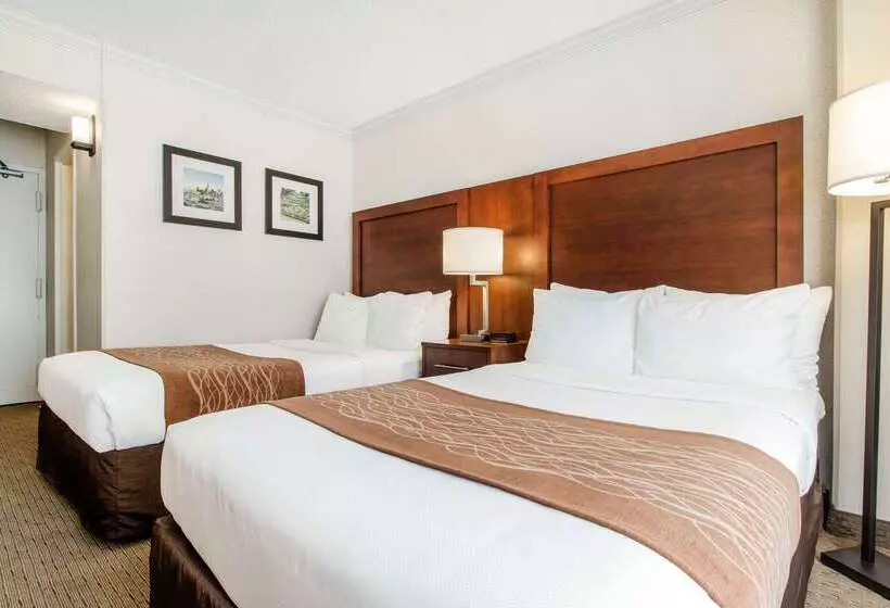 ホテル Comfort Inn By The Bay