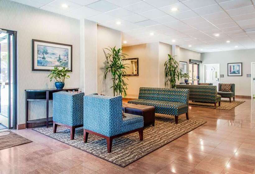 فندق Comfort Inn By The Bay