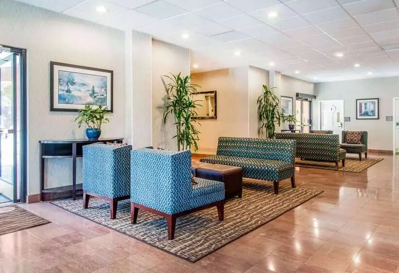 ホテル Comfort Inn By The Bay