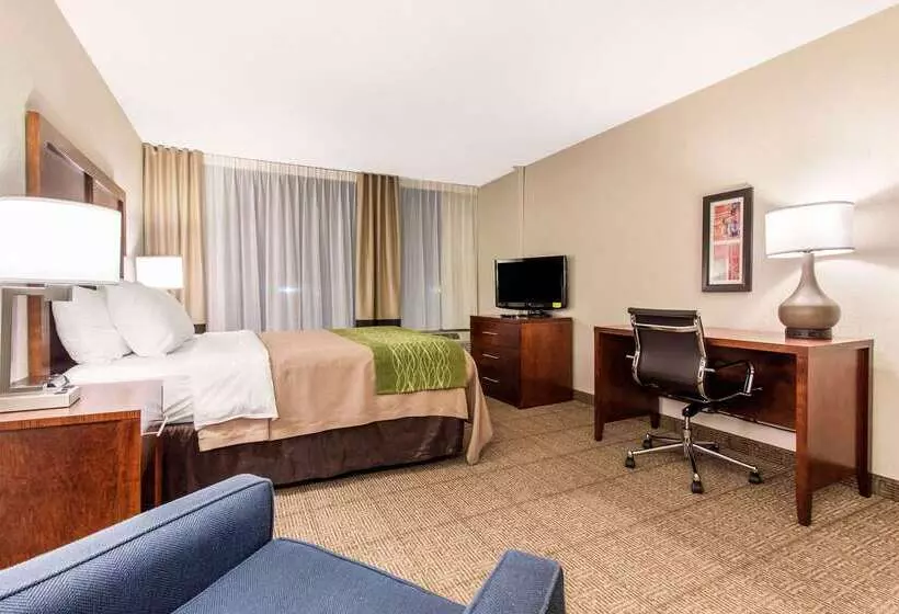 ホテル Comfort Inn & Suites Omaha Central