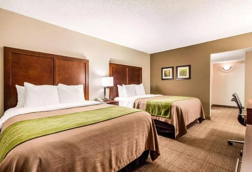 ホテル Comfort Inn & Suites Omaha Central