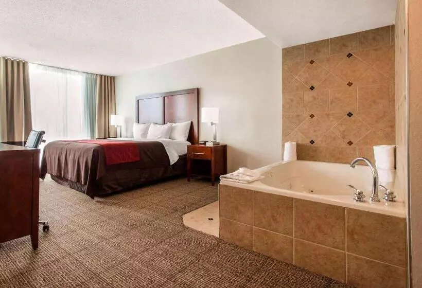 ホテル Comfort Inn & Suites Omaha Central