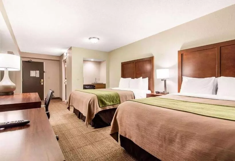 ホテル Comfort Inn & Suites Omaha Central