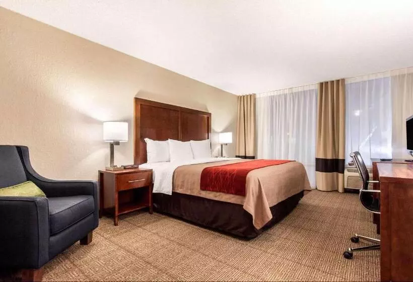 ホテル Comfort Inn & Suites Omaha Central