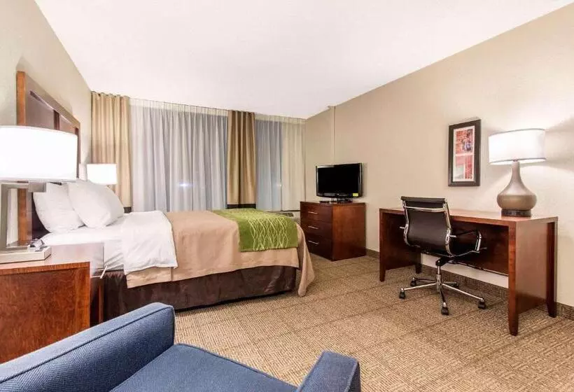 ホテル Comfort Inn & Suites Omaha Central