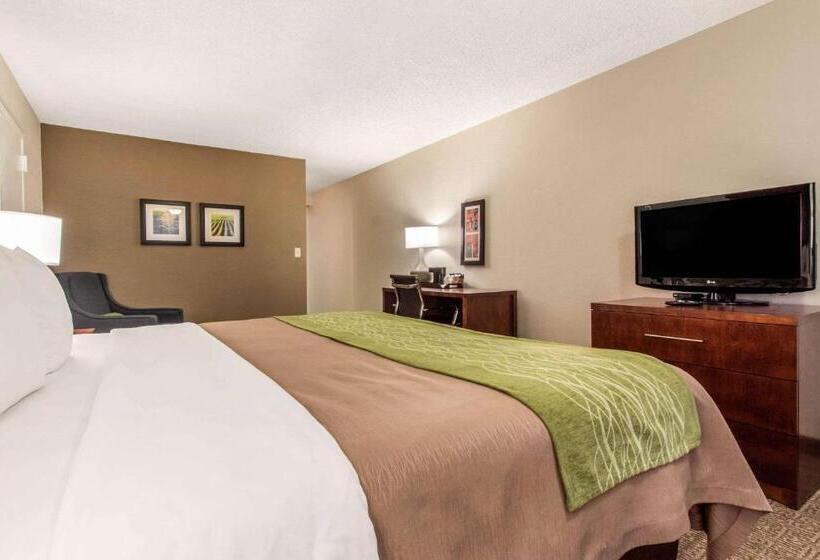 هتل Comfort Inn & Suites Omaha Central