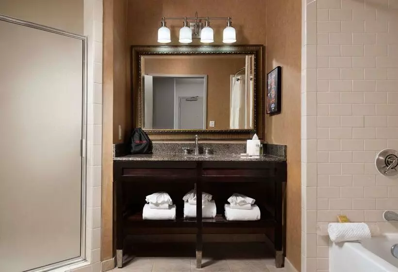 Otel Doubletree By Hilton Memphis Downtown