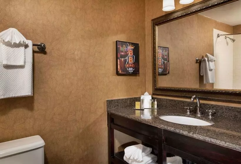 Otel Doubletree By Hilton Memphis Downtown