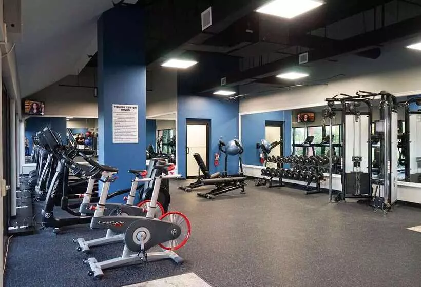 فندق Hilton Palm Beach Pbi