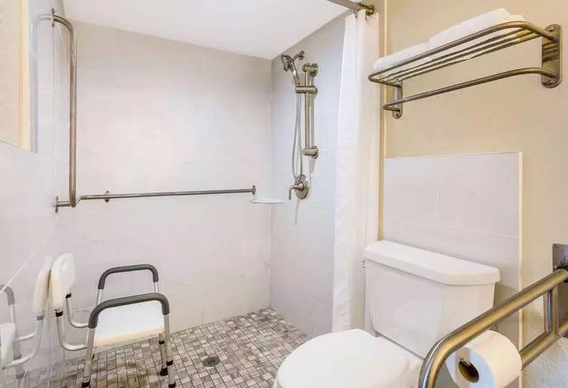 Hotel Howard Johnson By Wyndham Lakeland