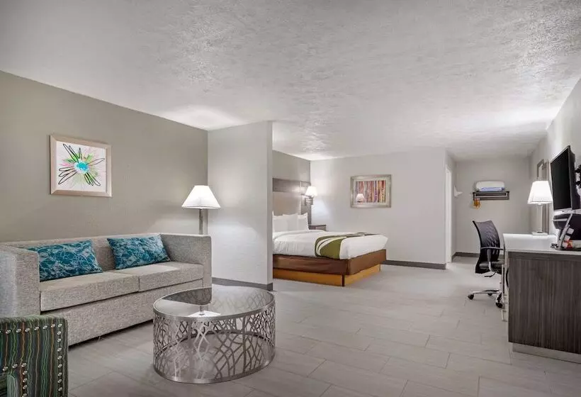 Szálloda Quality Inn & Suites