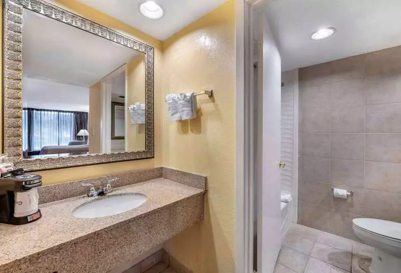 リゾートホテル Clarion Inn Orlando International Drive   Icon Park