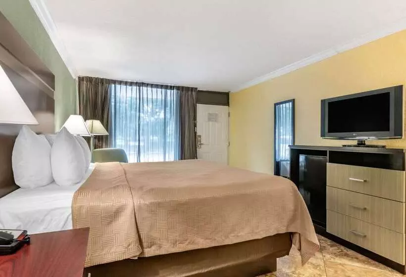 リゾートホテル Clarion Inn Orlando International Drive   Icon Park