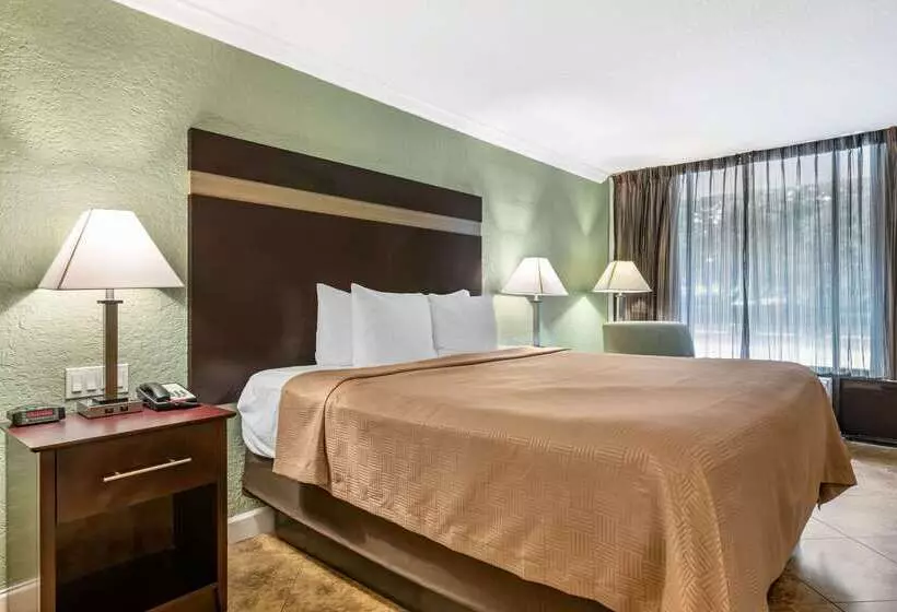 リゾートホテル Clarion Inn Orlando International Drive   Icon Park