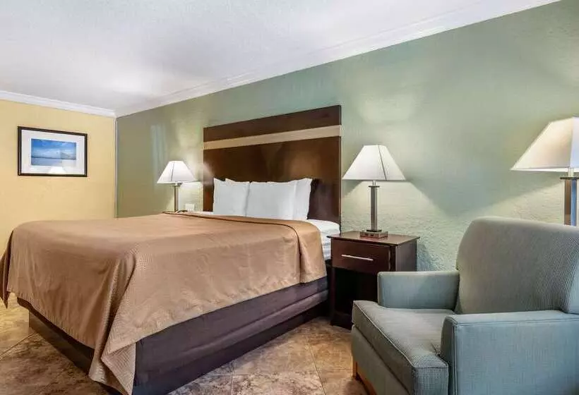 リゾートホテル Clarion Inn Orlando International Drive   Icon Park