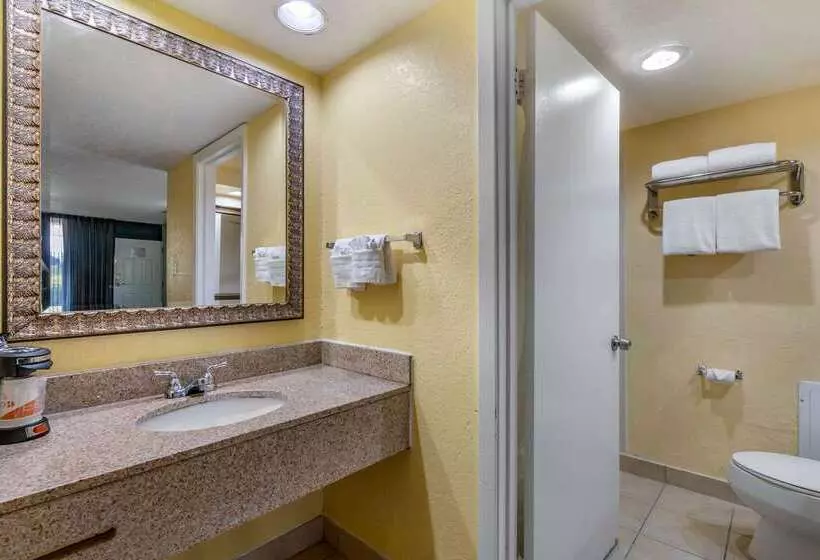リゾートホテル Clarion Inn Orlando International Drive   Icon Park