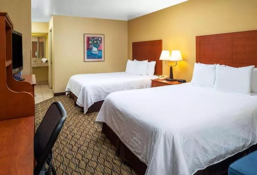 فندق Independence 47