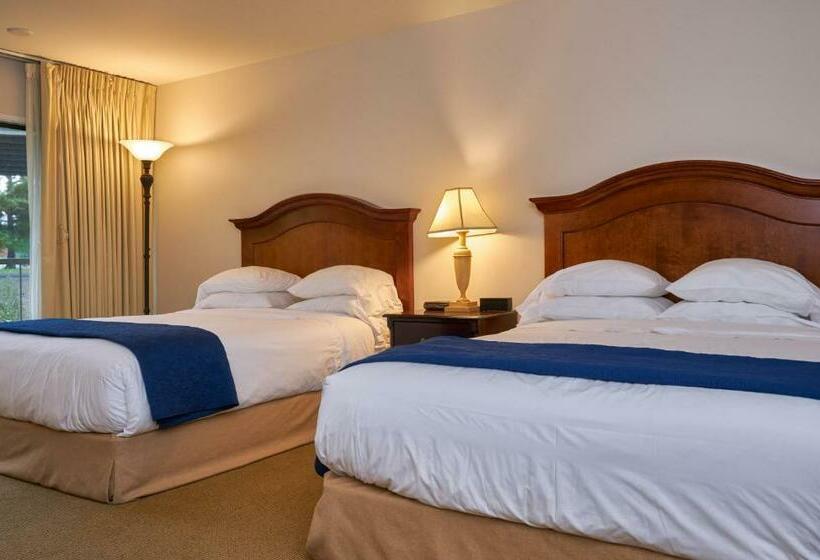 Otel Inn At The Commons