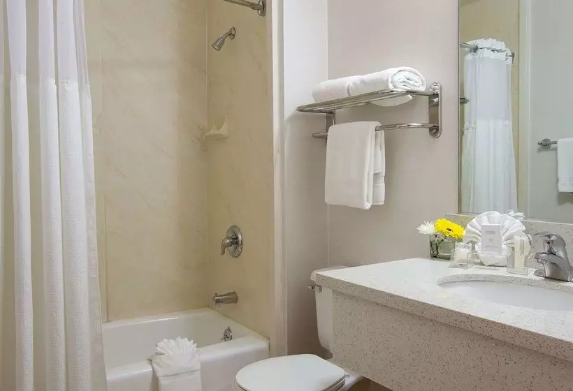 호텔 Safari Inn, A Coast