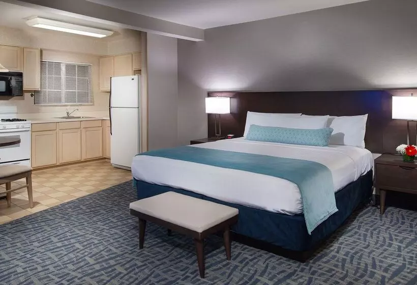 호텔 Safari Inn, A Coast