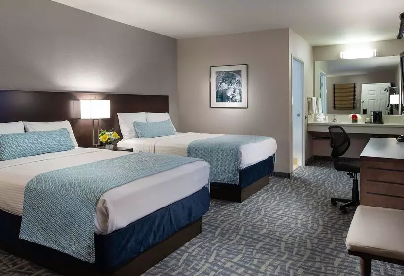 호텔 Safari Inn, A Coast