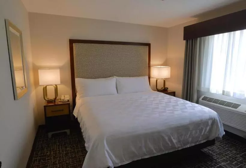 Holiday Inn Hotel & Suites Minneapolis Lakeville, An Ihg