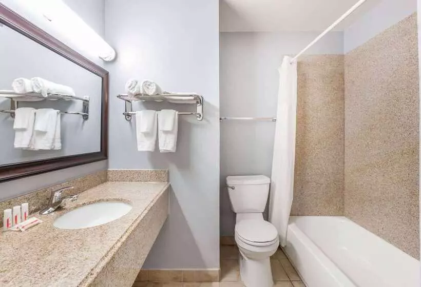 Hotel Days Inn By Wyndham Austin/university/downtown