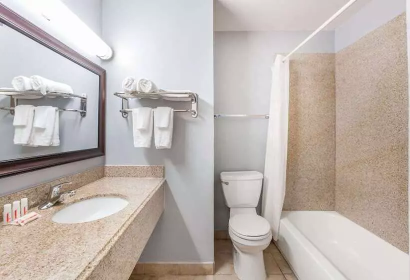 Hotel Days Inn By Wyndham Austin/university/downtown