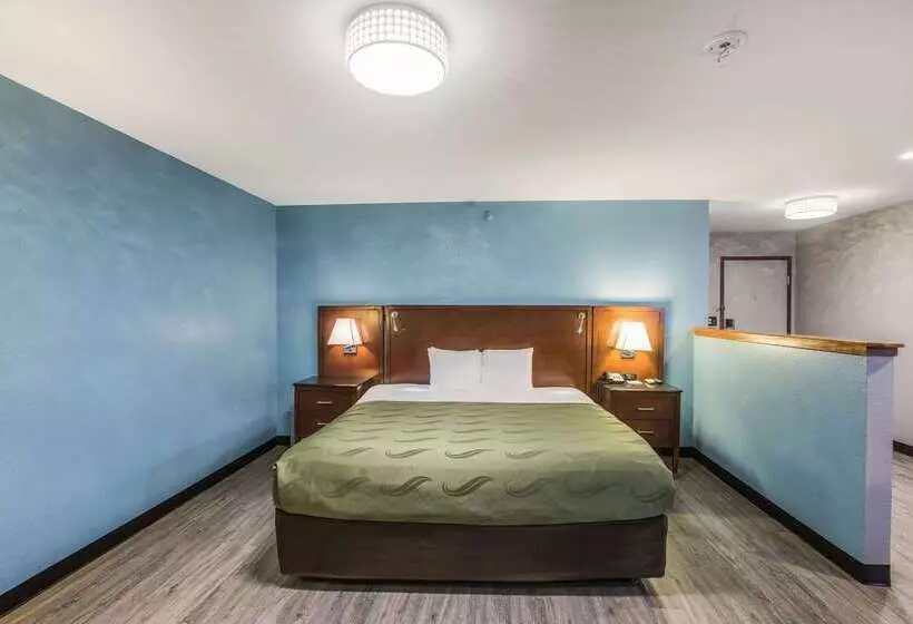 酒店 Quality Inn Atlanta Airport Central