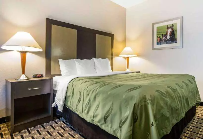 ホテル Quality Inn Lexington East Hamburg Area