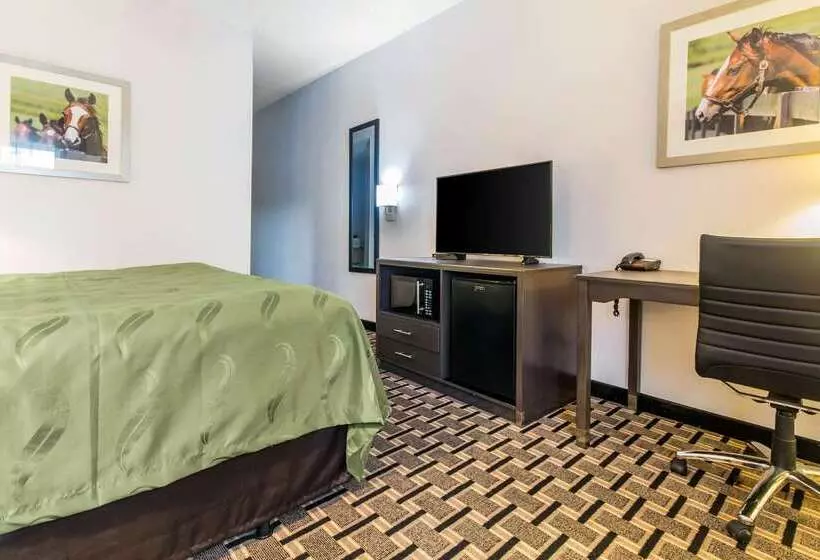 ホテル Quality Inn Lexington East Hamburg Area