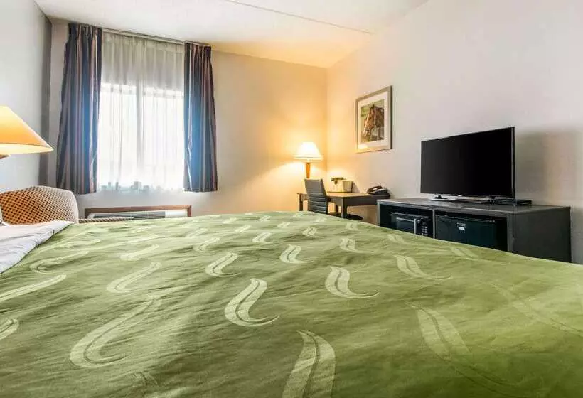 ホテル Quality Inn Lexington East Hamburg Area