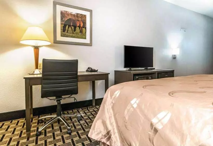 ホテル Quality Inn Lexington East Hamburg Area