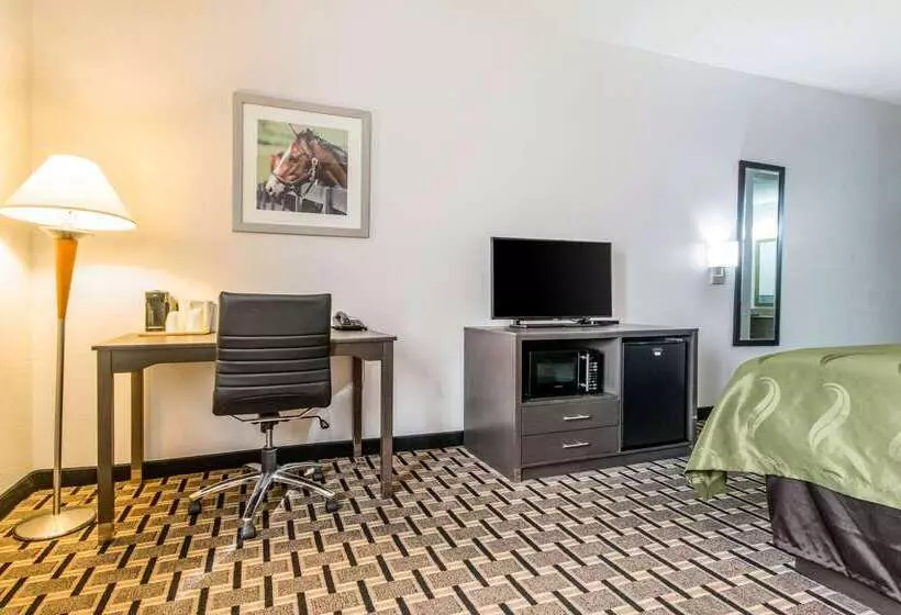 ホテル Quality Inn Lexington East Hamburg Area