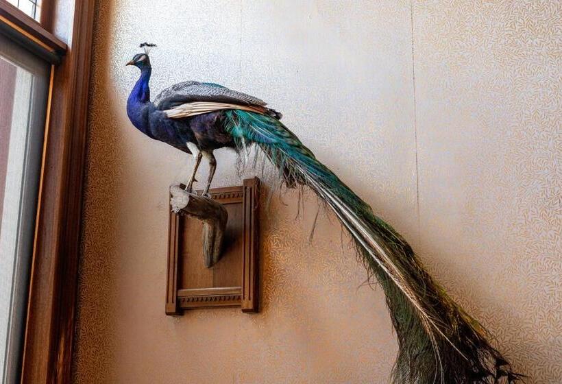 هتل Historic Strater