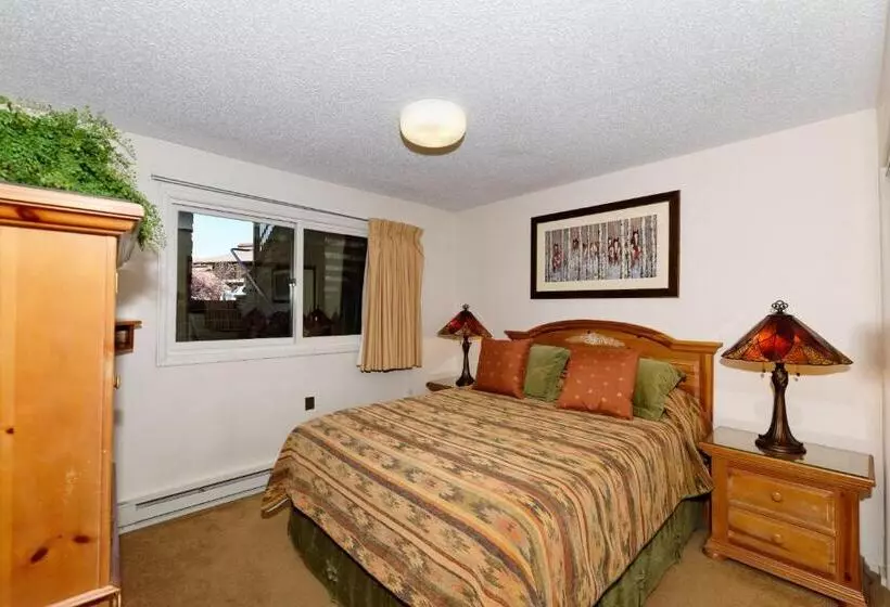 酒店 The Crestwood Snowmass Village