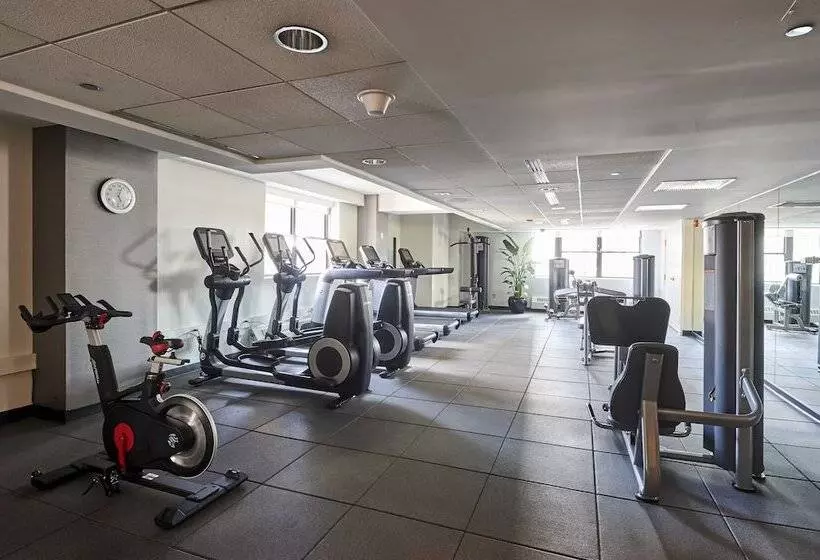 בית מלון כפרי Warwick Allerton  Chicago