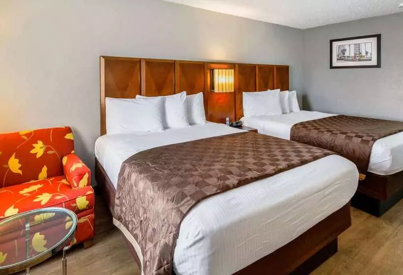 モーテル Rodeway Inn North Charleston Ashley Phosphate