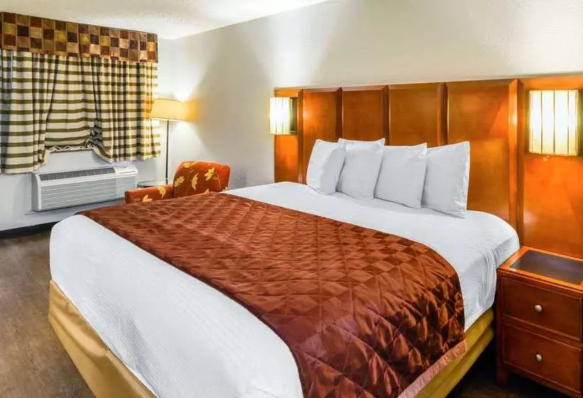 モーテル Rodeway Inn North Charleston Ashley Phosphate