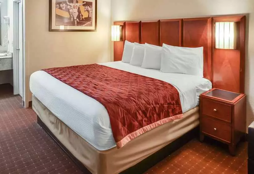モーテル Rodeway Inn North Charleston Ashley Phosphate