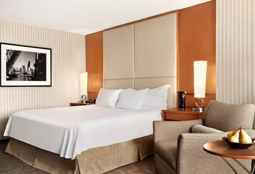 فندق Swissôtel Chicago