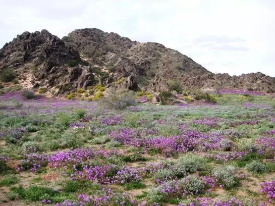 فندق Travelodge 4th Avenue