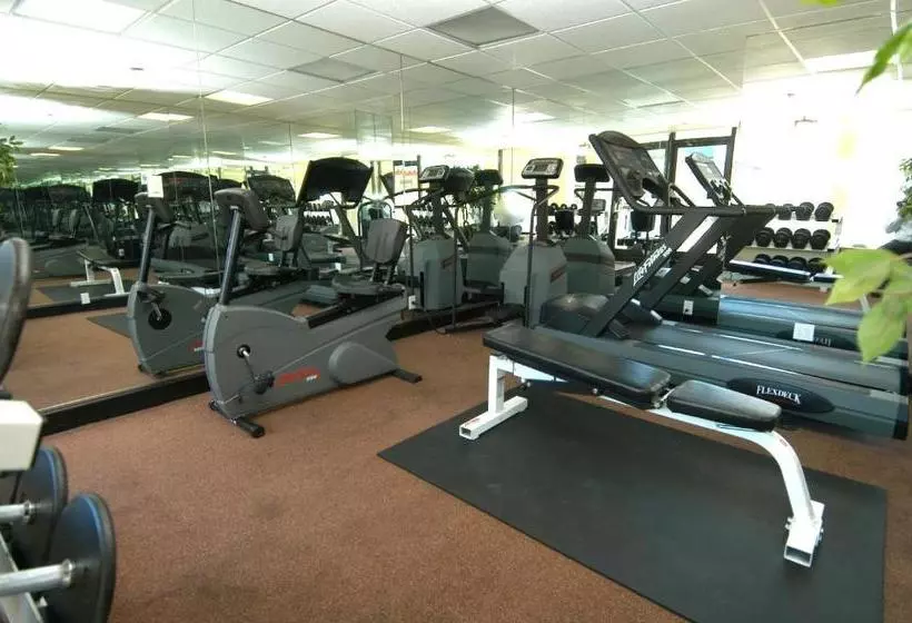 فندق Vagabond Inn Executive Old Town