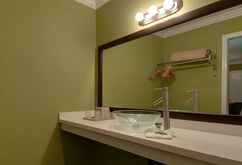 בית מלון כפרי Vagabond Inn San Pedro