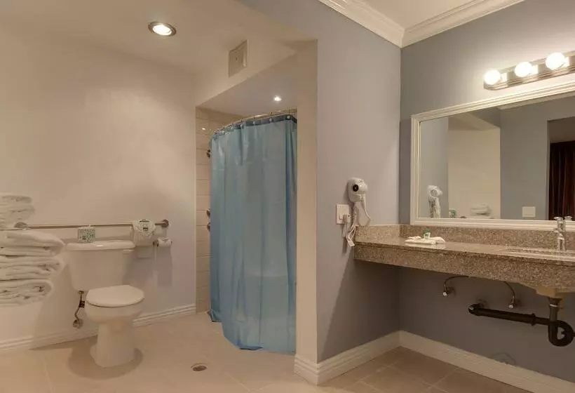 בית מלון כפרי Vagabond Inn San Pedro